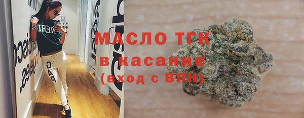 индика Карпинск