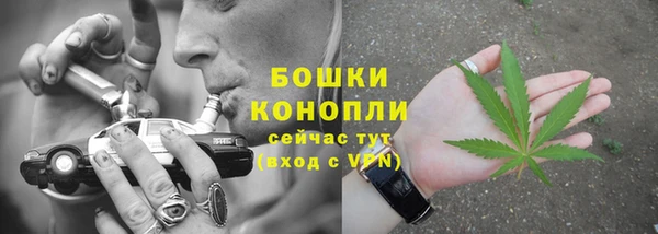 индика Карпинск