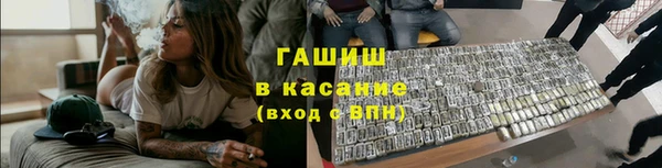 индика Карпинск