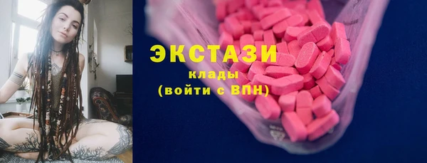 индика Карпинск