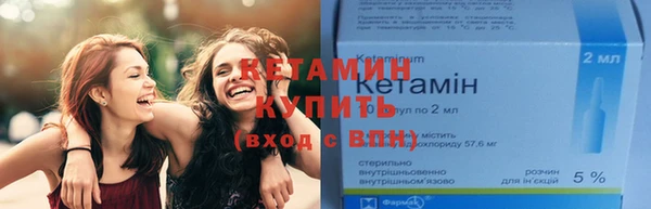 индика Карпинск