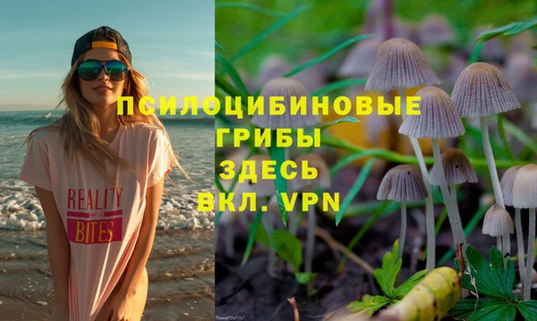 индика Карпинск