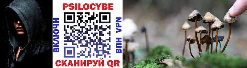 Галлюциногенные грибы MAGIC MUSHROOMS  Сухой Лог 