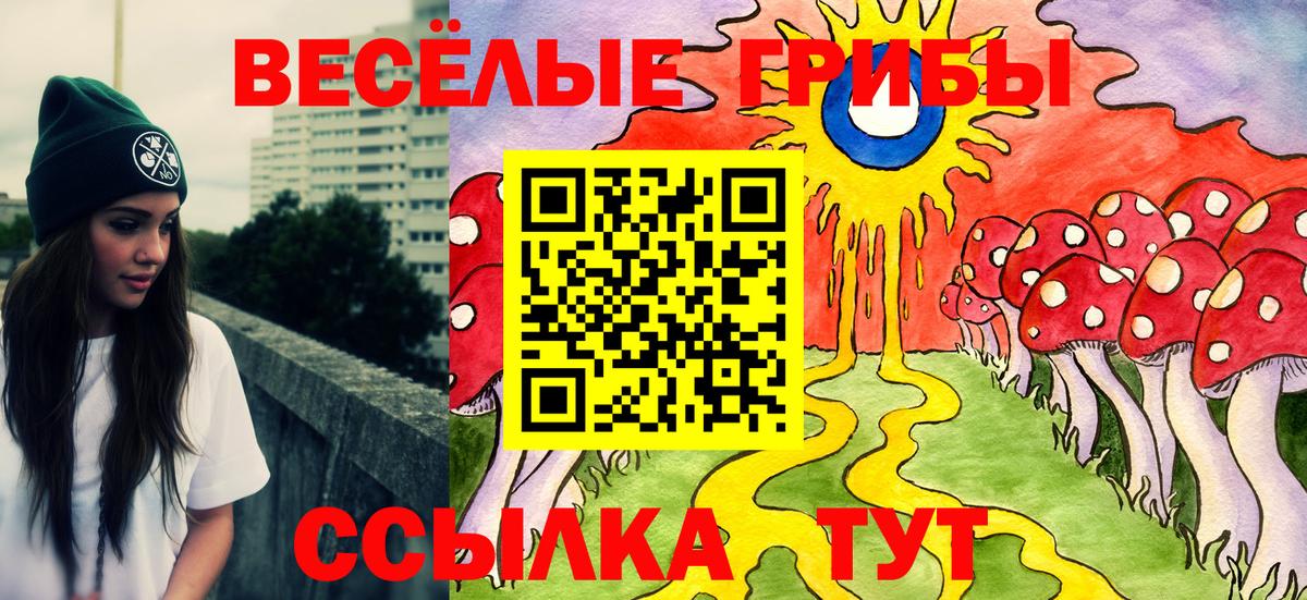 Псилоцибиновые грибы Cubensis Сухой Лог