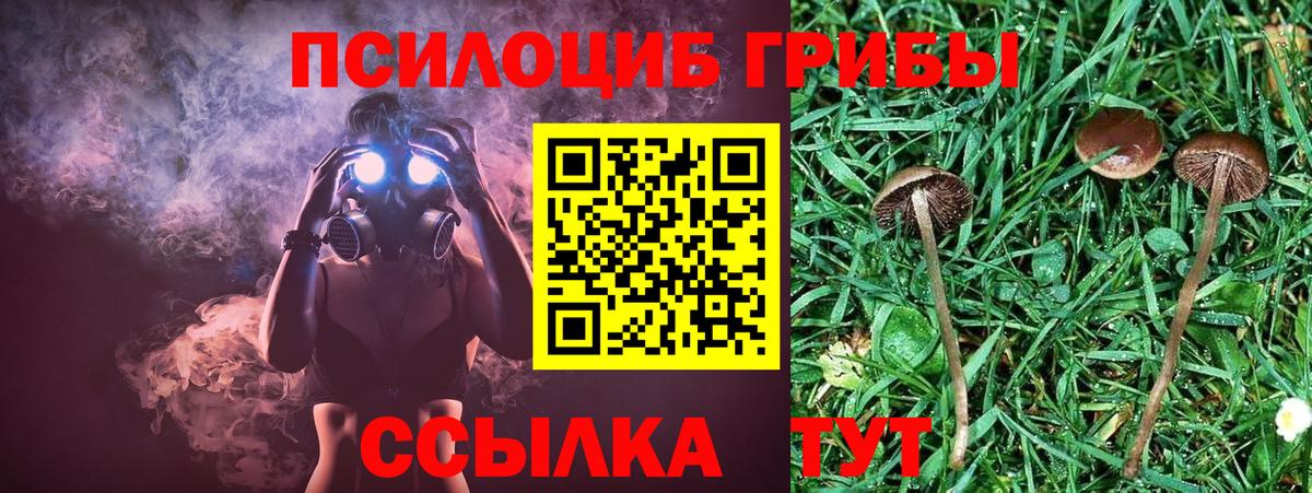 Галлюциногенные грибы ЛСД  Вход с VPN  Сухой Лог 