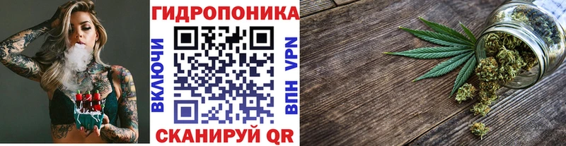 Конопля сатива Сухой Лог